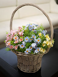 ��ǰ ������