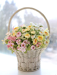 ��ǰ ������