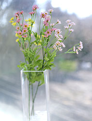 ��ǰ ������